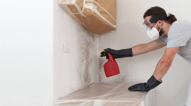 Professional Crawl Space Mold Remediation technician working in Farmville, VA