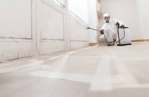 24/7 Emergency Crawl Space Mold Remediation experts in Farmville, VA