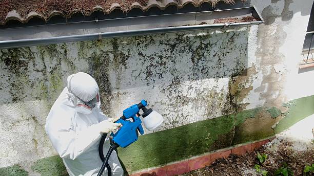 Top rated local Crawl Space Mold Remediation specialists in Farmville, VA
